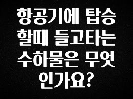인기좋은 이유 항공기에 탑승할때 들고타는 수하물은 무엇인가요? 후회하지 않습니다