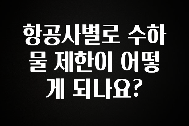 꾸준한 인기 항공사별로 수하물 제한이 어떻게 되나요? 잠깐 확인해보세요