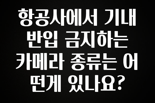 후회하지 않는 항공사에서 기내 반입 금지하는 카메라 종류는 어떤게 있나요? 무조건 확인