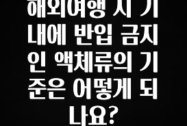 이번 선물은 꼭 해외여행 시 기내에 반입 금지인 액체류의 기준은 어떻게 되나요? 알려드릴게요