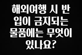 별다섯개 해외여행 시 반입이 금지되는 물품에는 무엇이 있나요? 바로 클릭