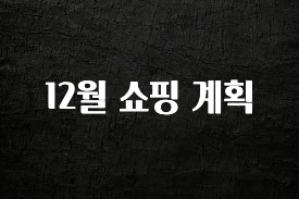 sns소식 12월 쇼핑 계획 요약정리