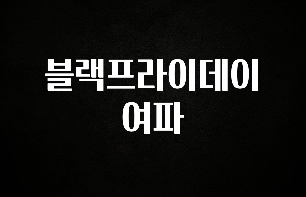 빠르게 확인 하세요! 블랙프라이데이 여파 지금 바로 공개합니다